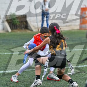 Boom - #231