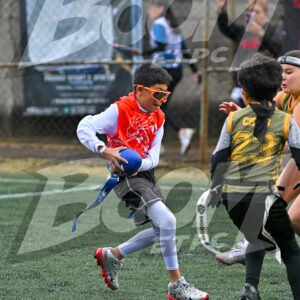 Boom - #228